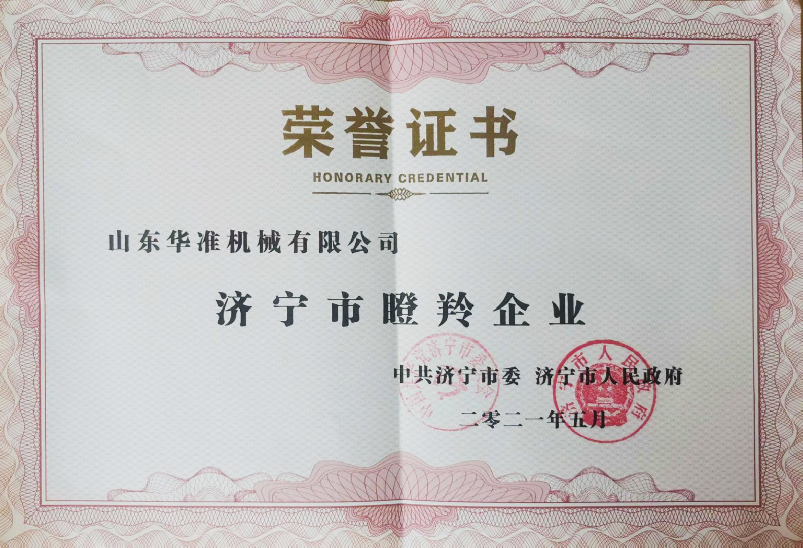山东济宁市瞪羚企业 图示